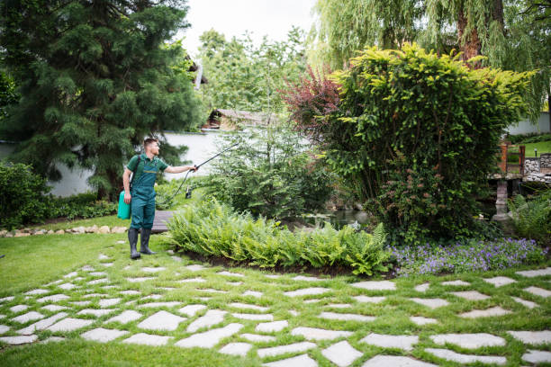Tree and Shrub Care in Anton, TX