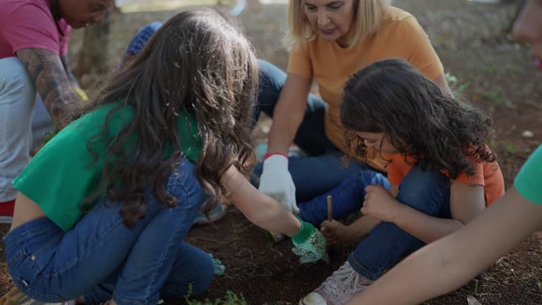 Trusted Anton, TX Tree Services Experts